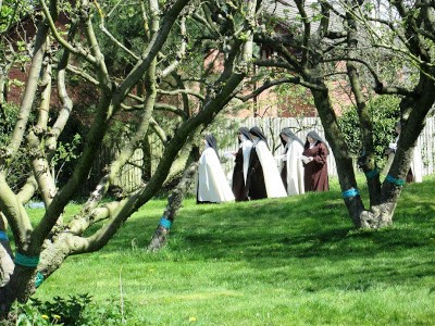 Procession passing the orchard